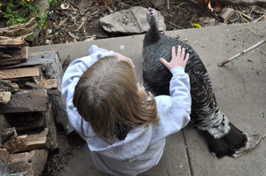 gobbler_child_top